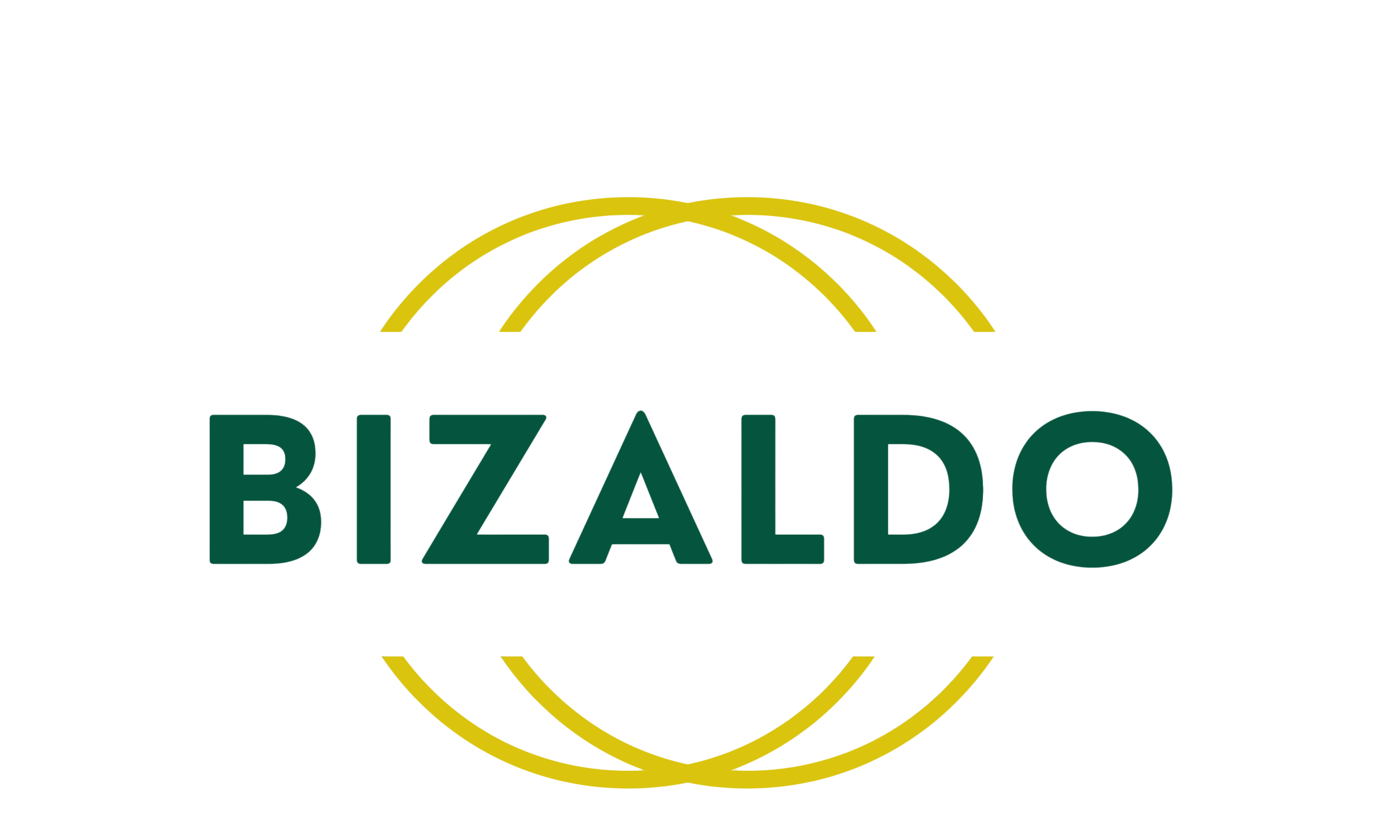 Bizaldo Logo